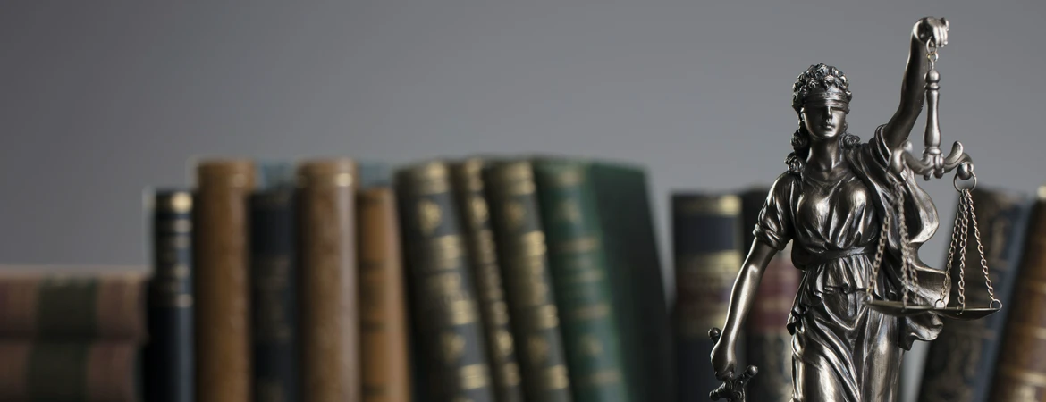 temida na&nbsp;tle książek